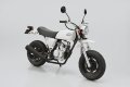 alt="Aoshima 06294 - 1/12 Honda AC16 APE \'06 The Bike #64" title="Aoshima 06294 - 1/12 Honda AC16 APE \'06 The Bike #64"