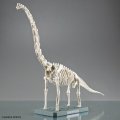 alt="Bandai 5067427 - Plannosaurus Brachiosaurus" title="Bandai 5067427 - Plannosaurus Brachiosaurus"