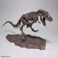 alt="Bandai 5061800 - 1/32 Tyrannosaurus (Imaginary Skeleton)" title="Bandai 5061800 - 1/32 Tyrannosaurus (Imaginary Skeleton)"