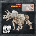 alt="Bandai 5064263 - Plannosaurus Triceratops Dinosaur #02" title="Bandai 5064263 - Plannosaurus Triceratops Dinosaur #02"