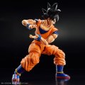 alt="Bandai 5063353 - Figure-rise Standard Son Goku (NEW Spec Ver.)" title="Bandai 5063353 - Figure-rise Standard Son Goku (NEW Spec Ver.)"