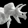alt="Bandai 5061660 - Triceratops Dinosaur Model Kit Limex Skeleton" title="Bandai 5061660 - Triceratops Dinosaur Model Kit Limex Skeleton"