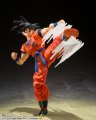 alt="Bandai 65040 - Son Goku\'s Effect Parts Set Dragon Ball Z S.H.Figuarts SHF" title="Bandai 65040 - Son Goku\'s Effect Parts Set Dragon Ball Z S.H.Figuarts SHF"