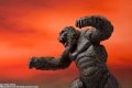 alt="Bandai 60478 - Kong from Godzilla vs. Kong (2021) S.H.MonsterArts" title="Bandai 60478 - Kong from Godzilla vs. Kong (2021) S.H.MonsterArts"