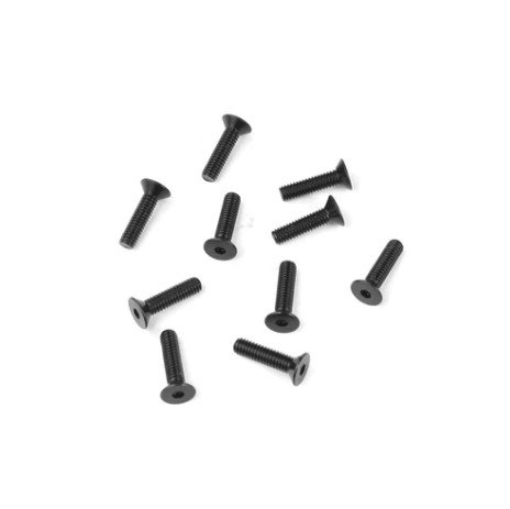 Destiny DES-D10192 M2.5x8 Flathead Screw, 10 pcs