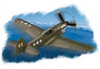 Hobby Boss 80252 P-40N Warhawk WWII