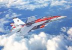 Italeri 2823 - 1/48 F/A-18F Super Hornet U.S. Navy Special Colors