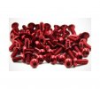 ROCHE 510047 Roche Rapide P12-2017 Red Alloy Hex Screw Set (54pcs)