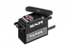 Sanwa PGS-CX2 Servo Sanwa PGS-CX2 Servo