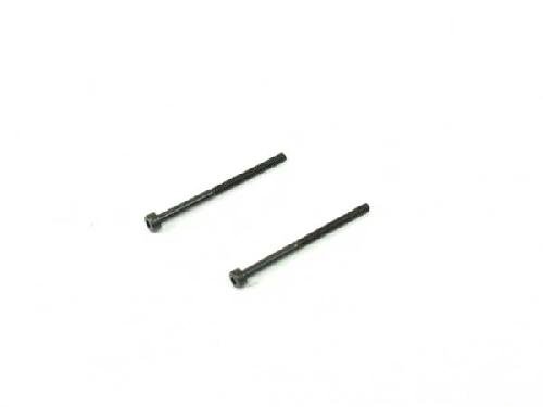 Tamiya 9805939 - 2x30mm Cap Screw (2 pcs.)