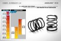 alt="XRAY 308290 4S Spring Set C=3.0 (2)" title="XRAY 308290 4S Spring Set C=3.0 (2)"